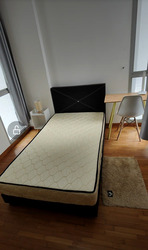 The Lakeshore (D22), Condominium #437693551
